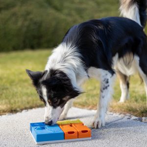 Pawzler hondenpuzzel speelgoed hond aanbieding