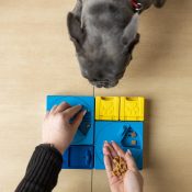 Pawzler hondenpuzzel speelgoed hond voorbeeld