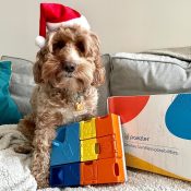 Pawzler puzzel aanbieding kerst