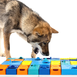 Pawzler puzzel hond online kopen nederland