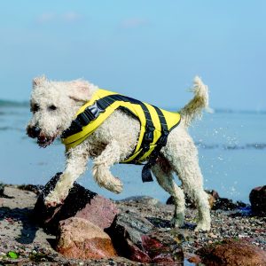 Zwemvest labradoodle zwemmen strand reddingsvest geel