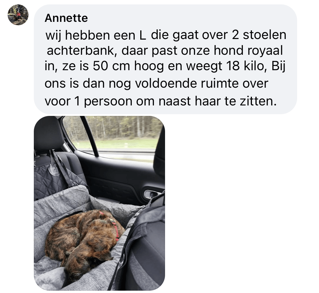 Autostoel hond met plek naast de stoel