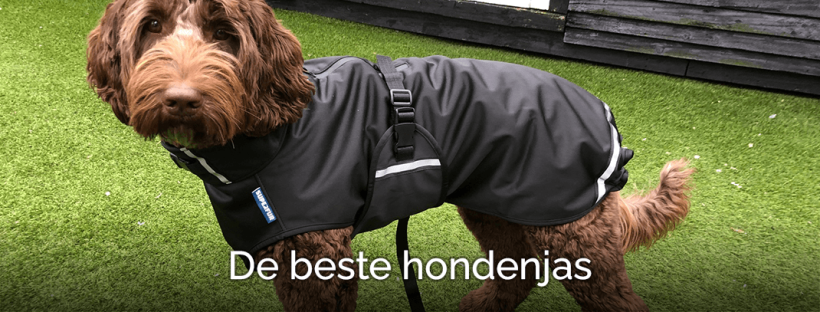 Beste hondenjas