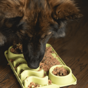 Ditch the bowl hond slowfeeder