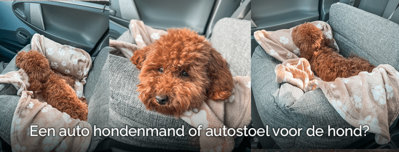 Een auto hondenmand of autostoel voor de hond