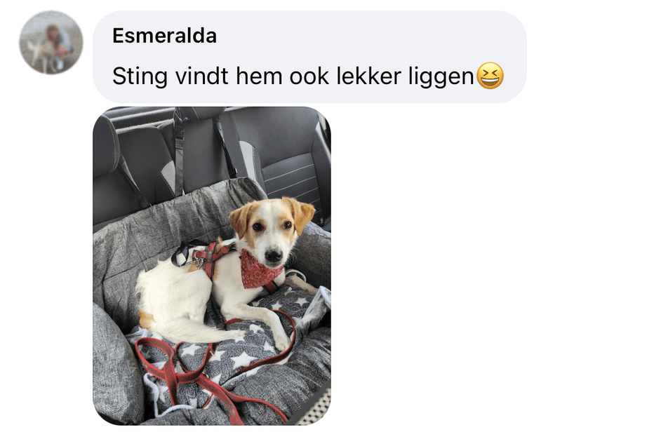 Ervaring autostoel hond