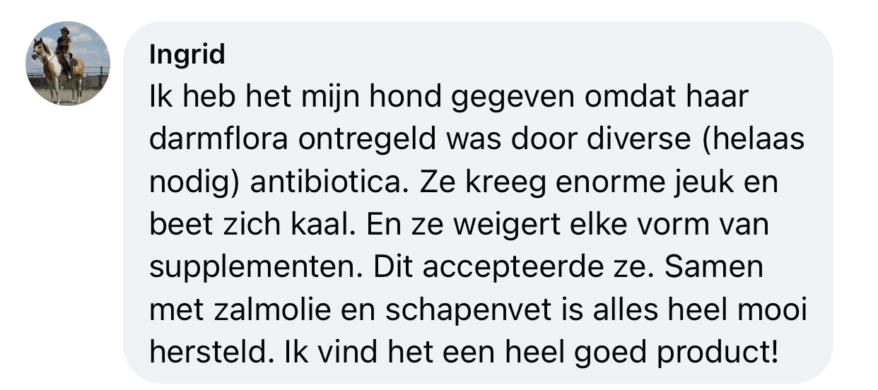 Ervaringen probiotica hond