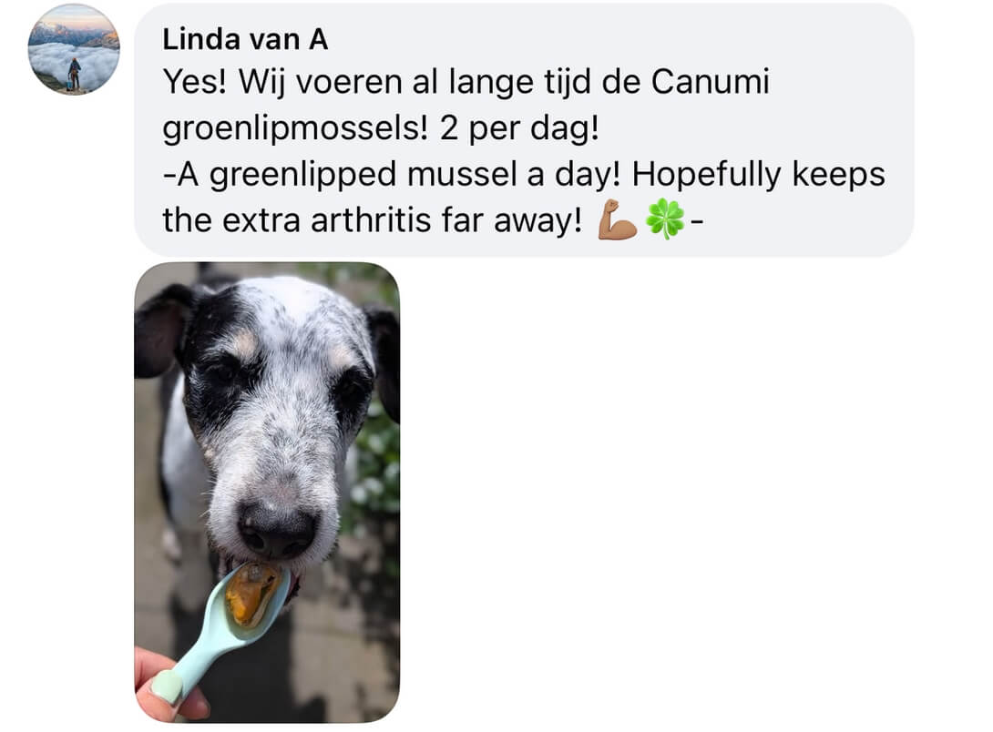 Groenlipmossel hond artrose ervaringen