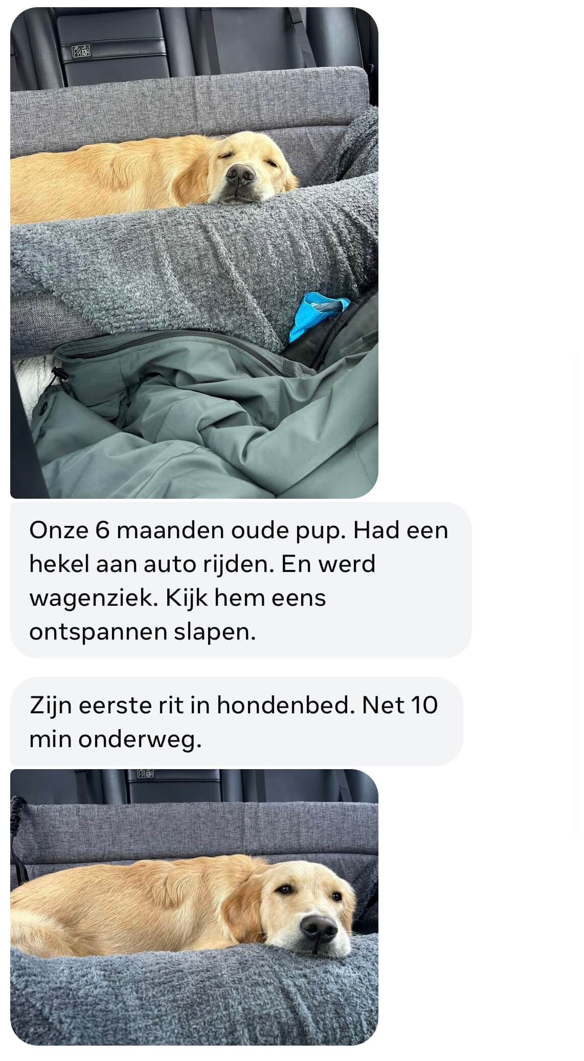 Oplossing puppy wagenziek auto