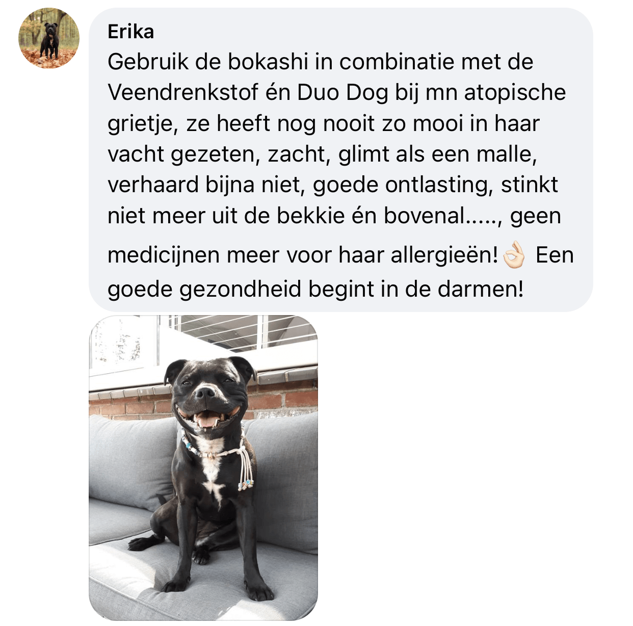 Probiotica hond jeuk ervaringen