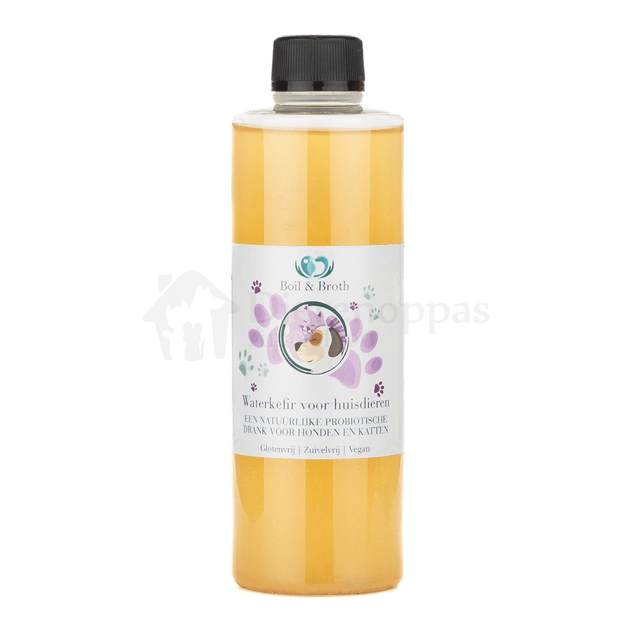 Probiotica hond waterkefir kefir