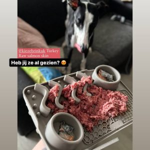 Siliconen likmat snackmat hond