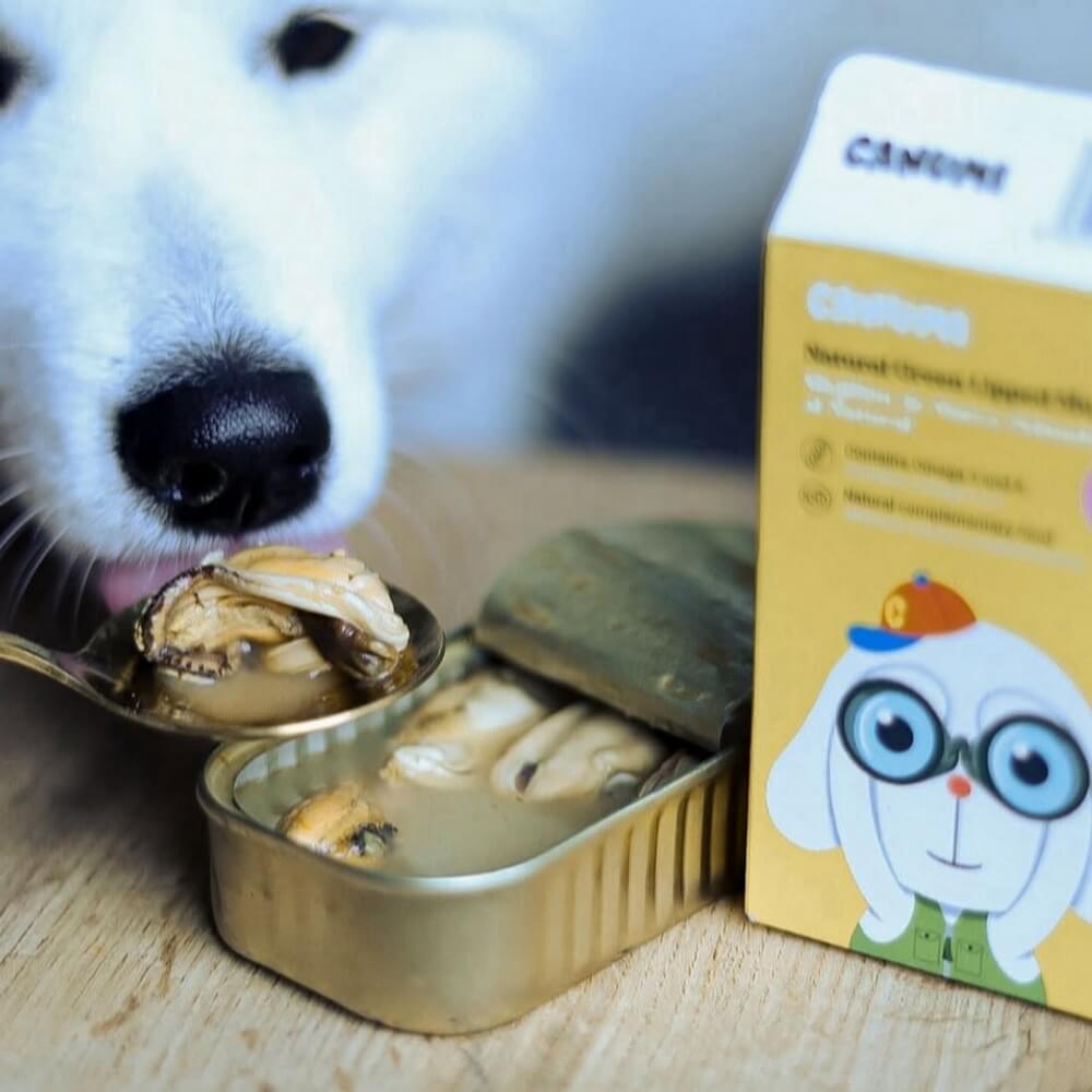Verse groenlipmossel hond aanbieding