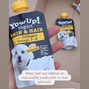 yoghurt hond dierenarts