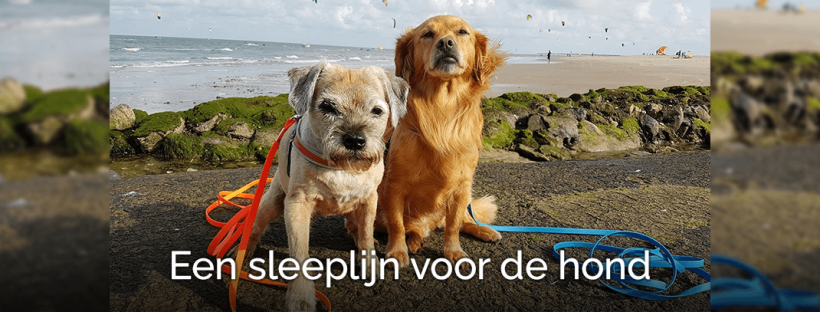 Een sleeplijn voor de hond