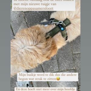 Ervaring hondentuig niet over hoofd