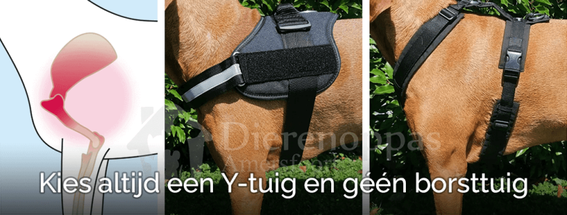 Kies altijd een Y-tuig en géén borsttuig