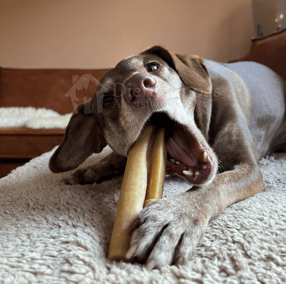 Natuurlijke hondensnacks yak kaas hond