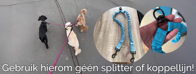 Riem voor 2 honden koppelriem koppellijn hond dubbele hondenriem splitter