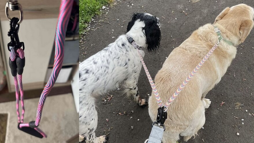 Splitter hond dubbele hondenriem aanbieding action dierenwinkel petsplace lidl