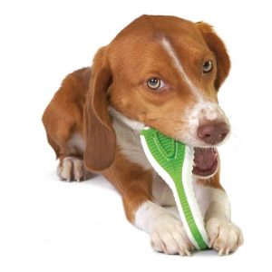 Tandreinigende Kauwborstel Hond tandenborstel speeltje tandplak