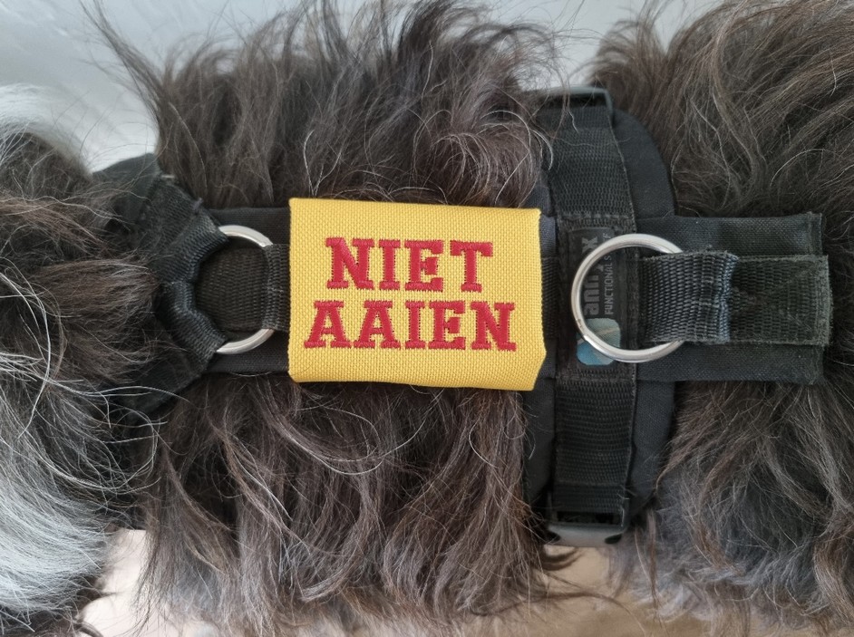 Tuigje hond niet aaien