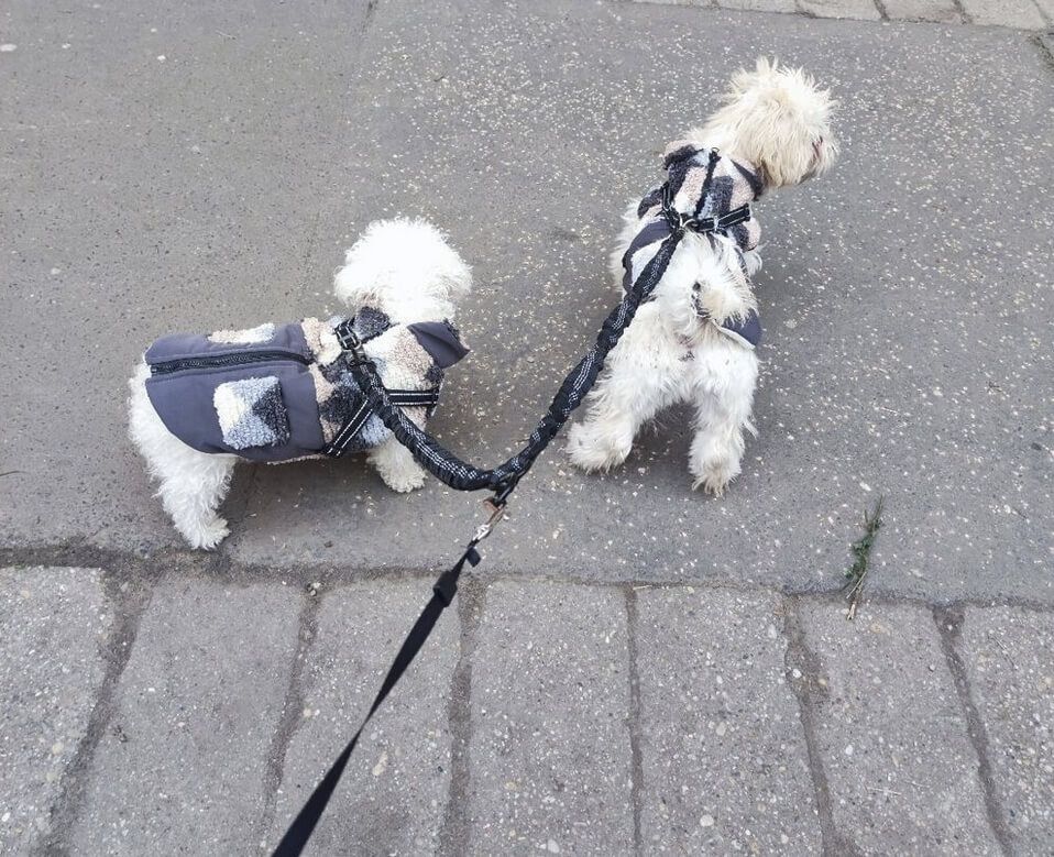 hondenriem riem voor 2 honden