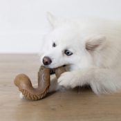 Benebone Tripe Bone Tripe botten runderpens smaak nylabone kleine hond