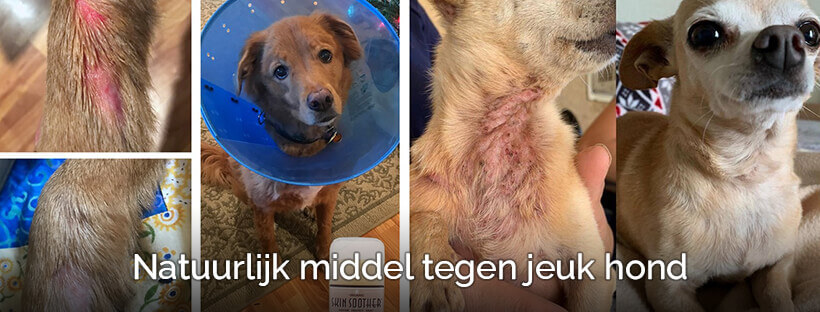 Oma weet raadt jeuk bij honden