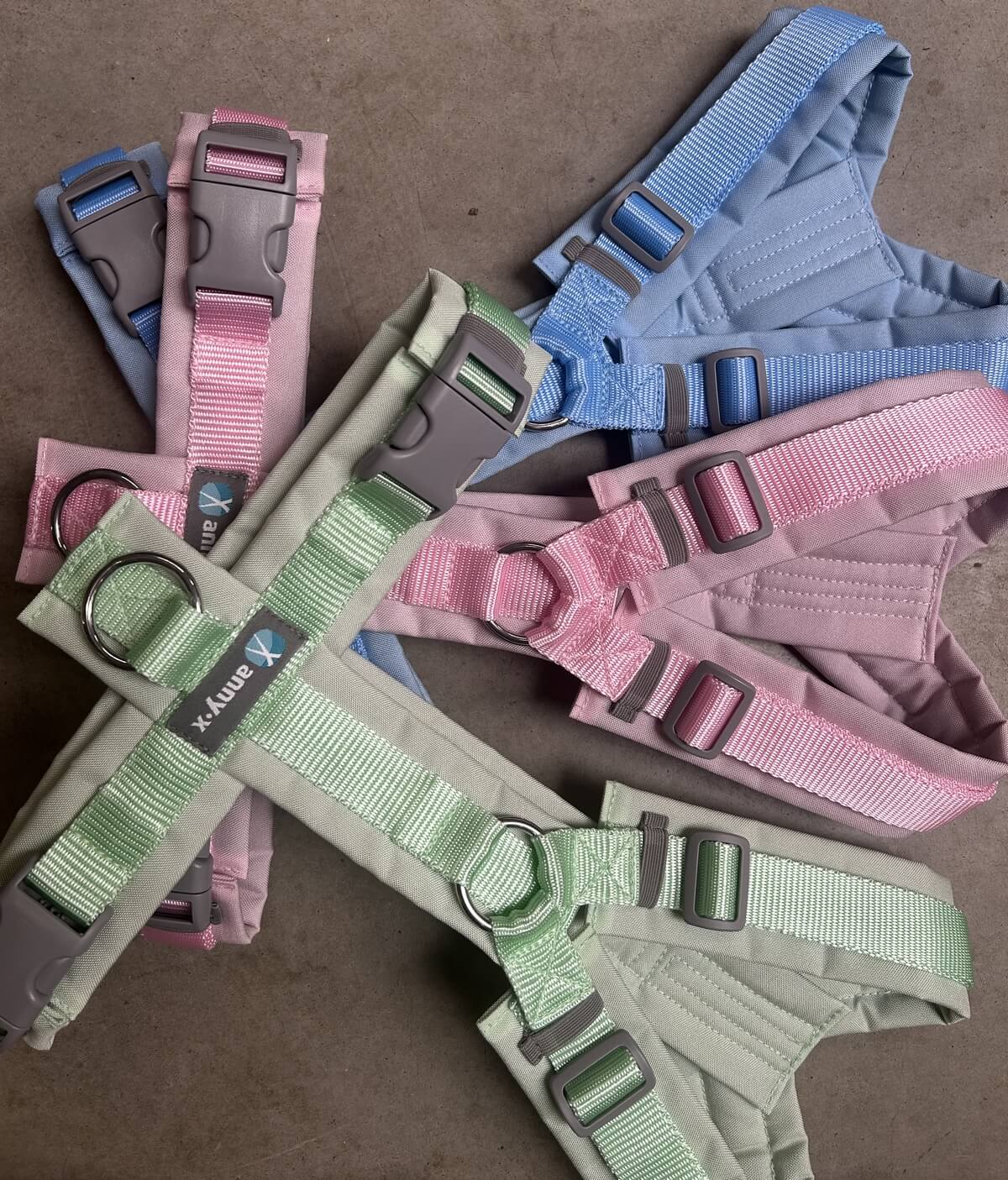 Pasteltuigjes annyx dierenoppas amersfoort