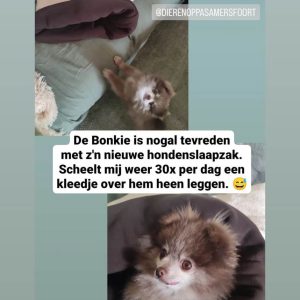 Budget slaapzak hond