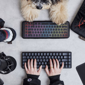 HyperX toetsenbord knuffel hond P.L.A.Y. Keyboard