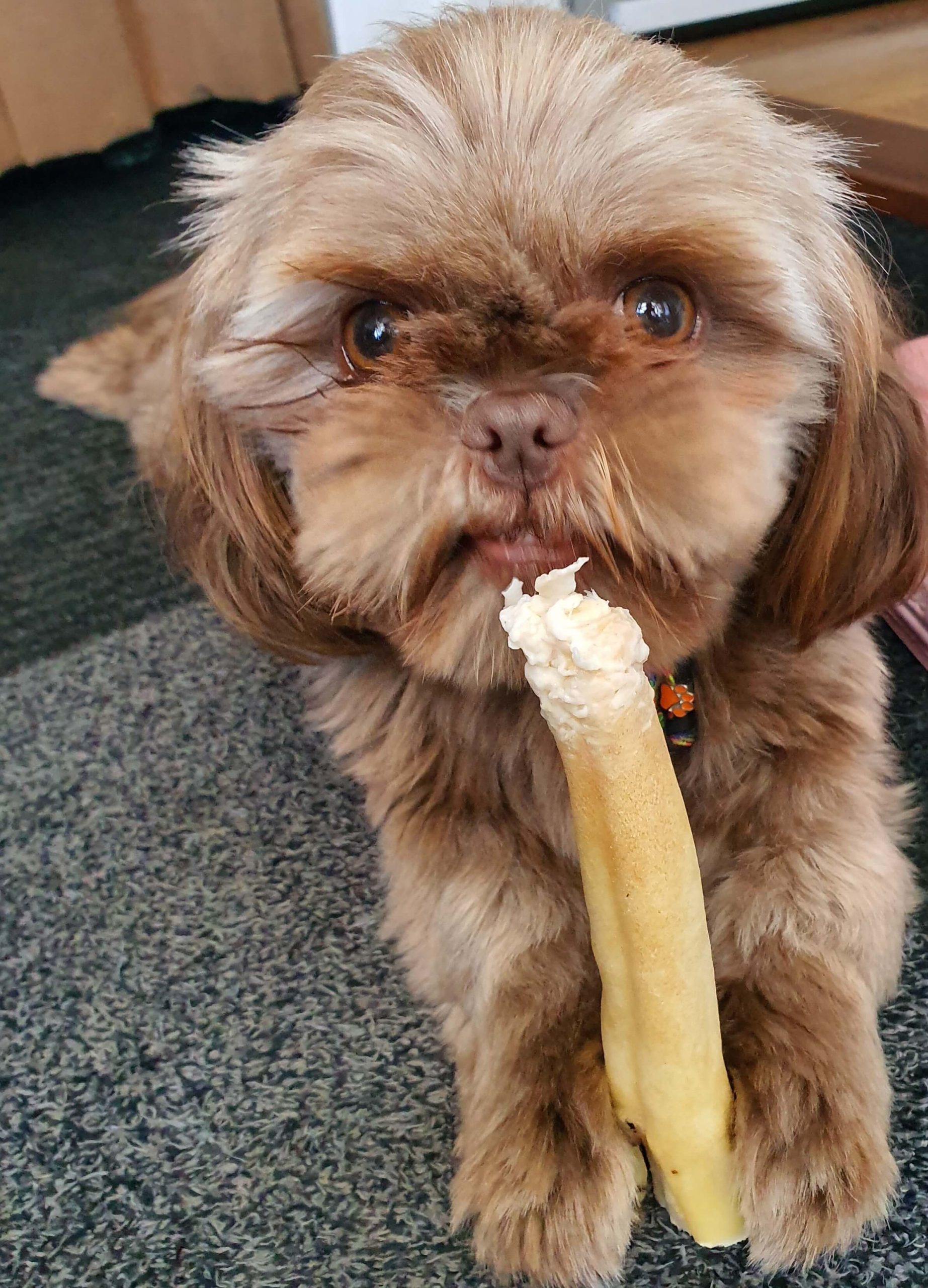 Zachte hondensnacks zachte snacks hond bot kluifje snoepje