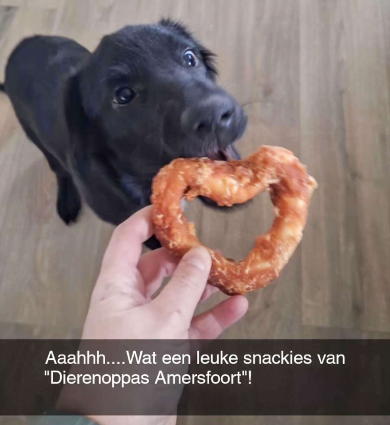 kauwstaafjes kip hond