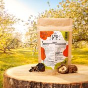 Medicinale paddenstoelen hond