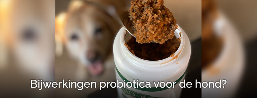 Bijwerkingen probiotica voor de hond