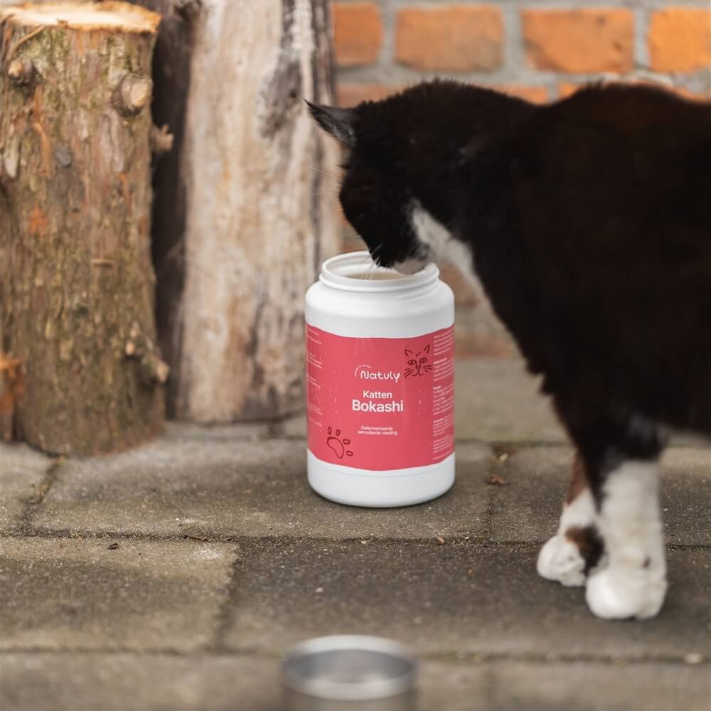 Bokashi kat kattenbokashi