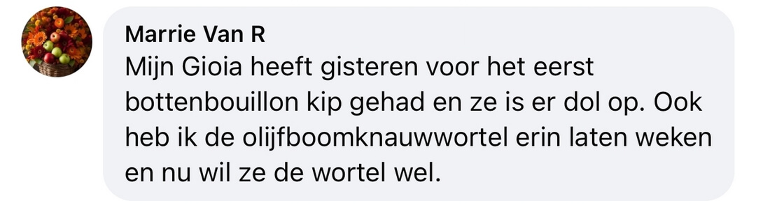 Bottenbouillon hond olijfwortel weken