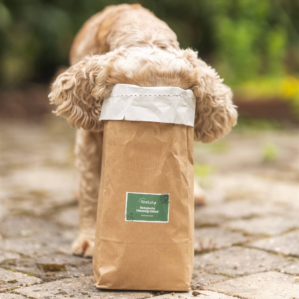 Hennepbites hond hennepzaadolie snoepjes honden