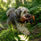 Voerdummy hond jachttraining jacht training voer dummy