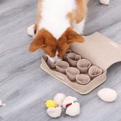 Zoekspel hond eierdoos eitjes kuikens snuffelmat denkspel