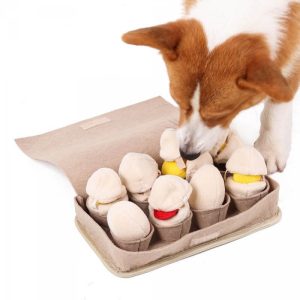 Zoekspel hond eierdoos eitjes kuikens snuffelmat van stof