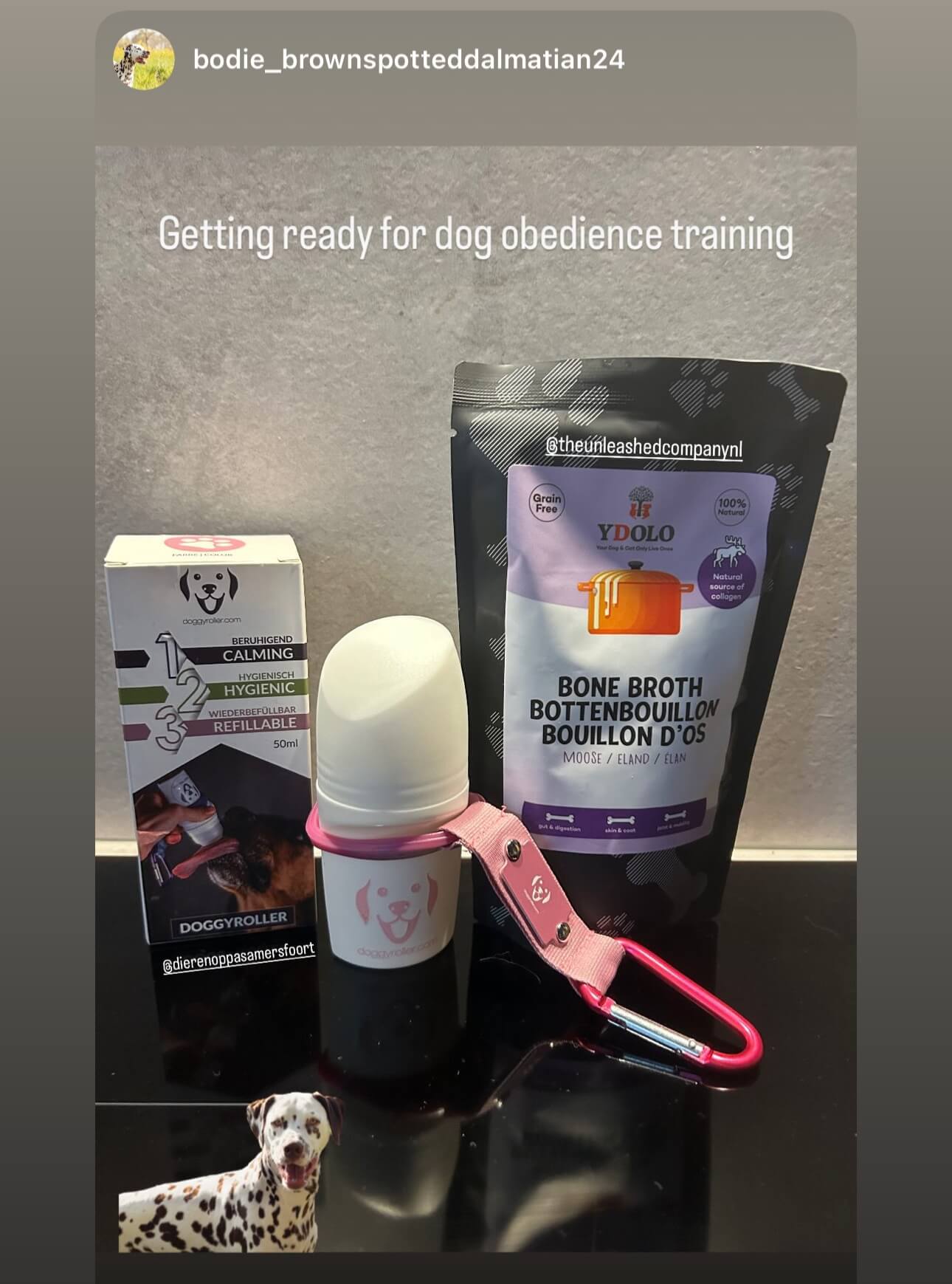 bottenbouillon hond waar te koop