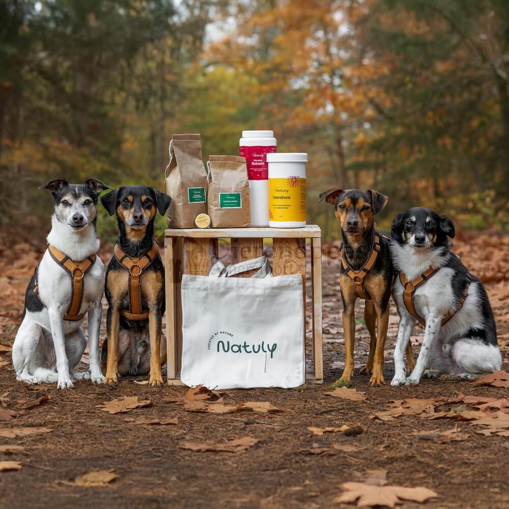 de beste multivitamine hond