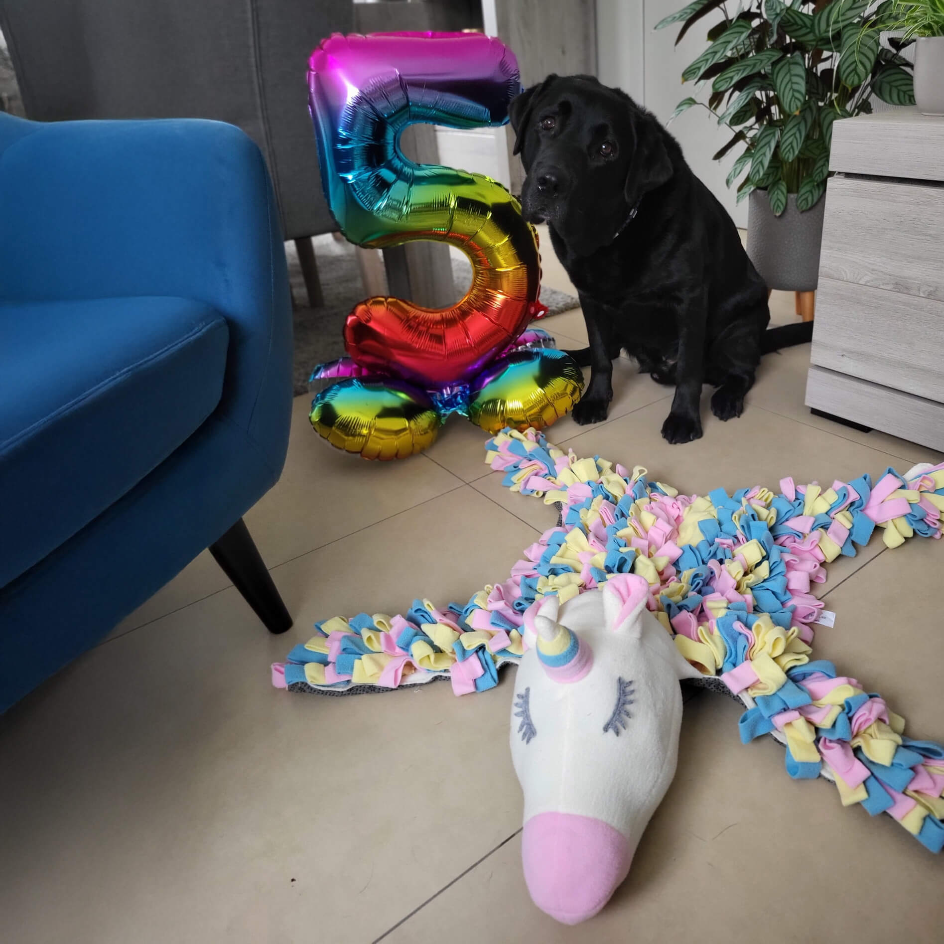 snuffelmat grote hond