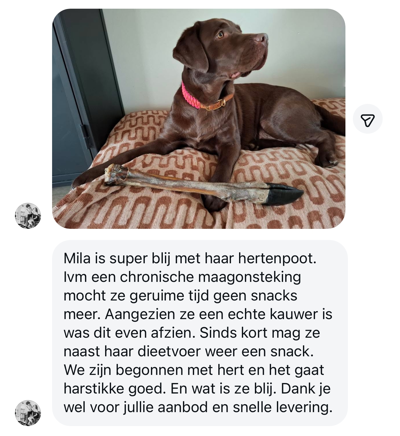 Hertenpoot hond