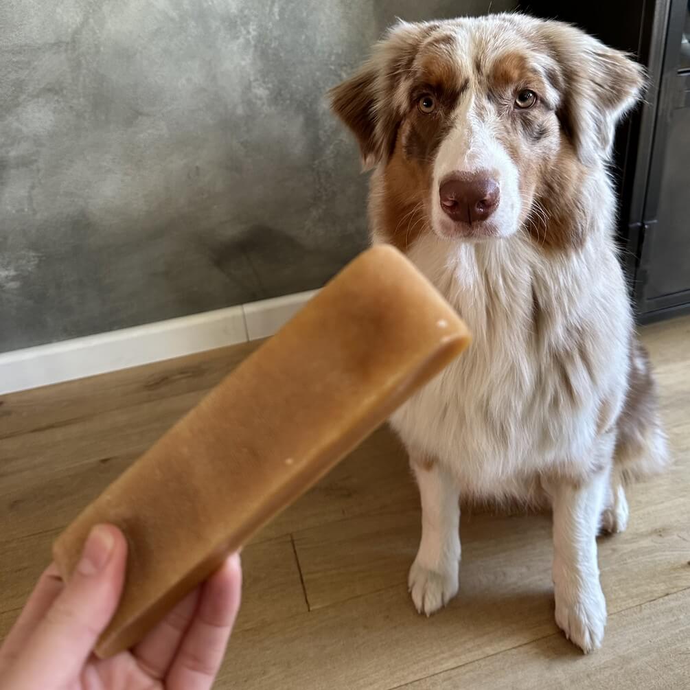 Kaas voor honden kaassnack