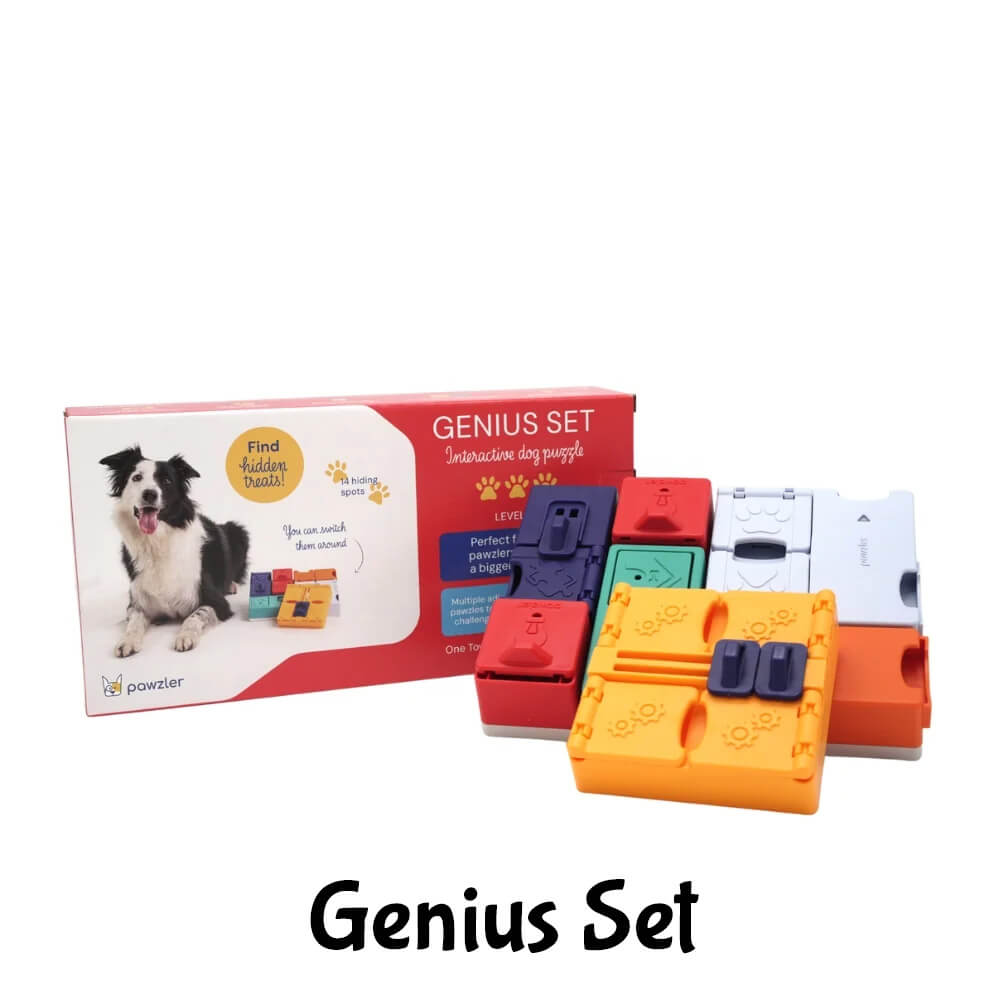 Pawzler puzzel hond hondenpuzzel genius set aanbieding korting ervaringen