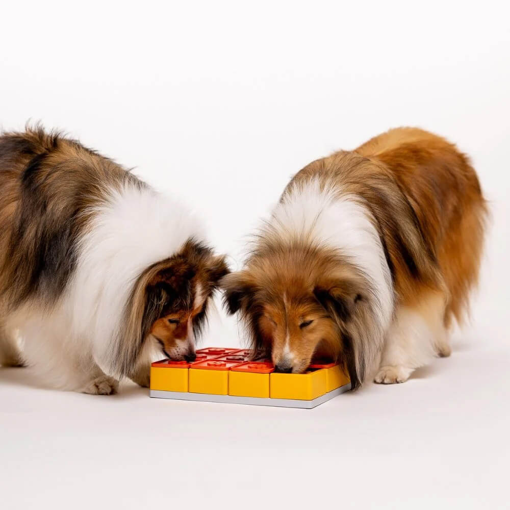 Pawzler puzzel hond hondenpuzzel treatmaze treat maze aanbieding korting ervaringen hond