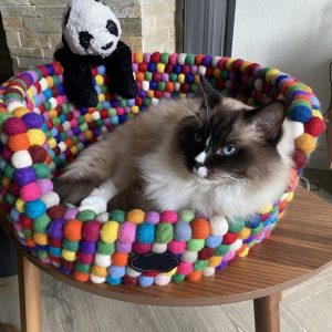 Vilten kattenmand bolletjes wol nepal grote kat